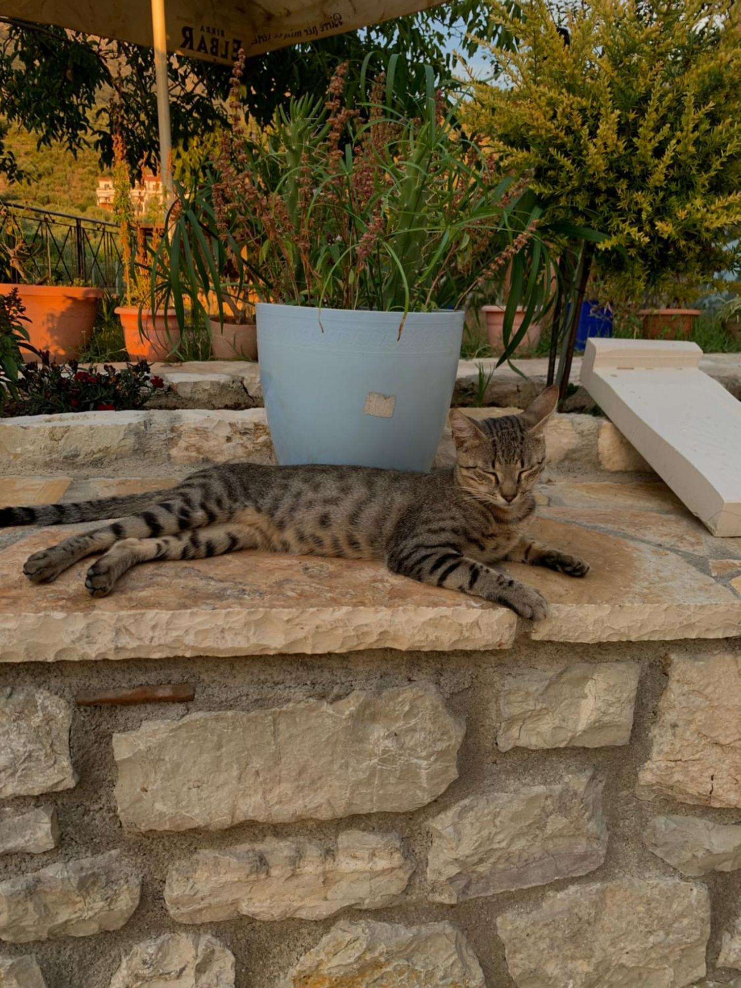 Vourtarea Guesthouse Himare Exterior foto